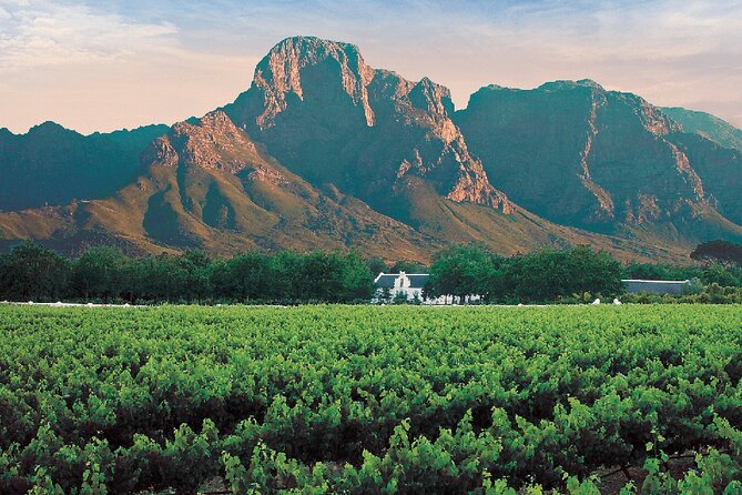 Experience 16 Wine Tasting & 6 Cheese Pairing across 3 Vineyards - What the private format changes