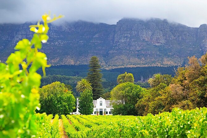 Experience 16 Wine Tasting & 6 Cheese Pairing across 3 Vineyards - Is the $128 price good value?