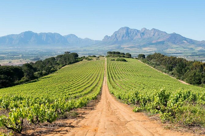 Experience 16 Wine Tasting & 6 Cheese Pairing across 3 Vineyards - Fairview: cheese first, wine close behind