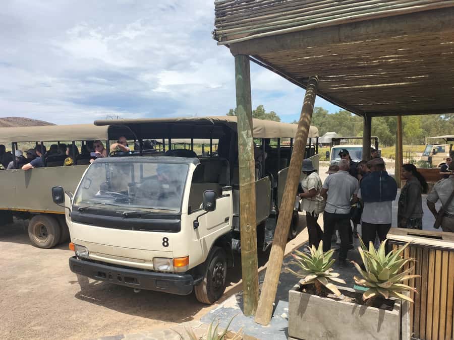 Experience an Amazing Big5 Safari near Cape Town! - The 2 to 3 hour game drive
