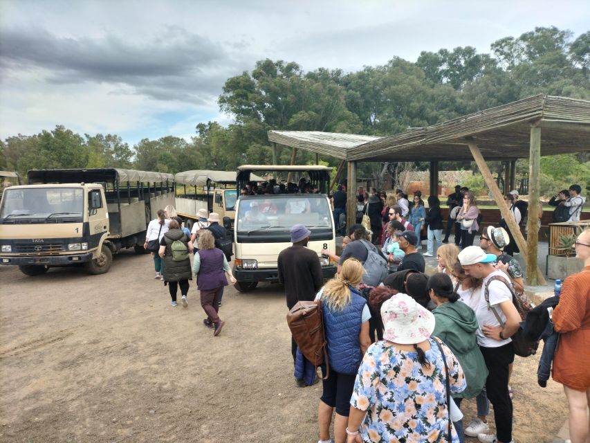 Experience an Amazing Big5 Safari near Cape Town! - What else you might see
