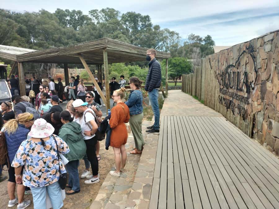 Experience an Amazing Big5 Safari near Cape Town! - Is $345 good value?