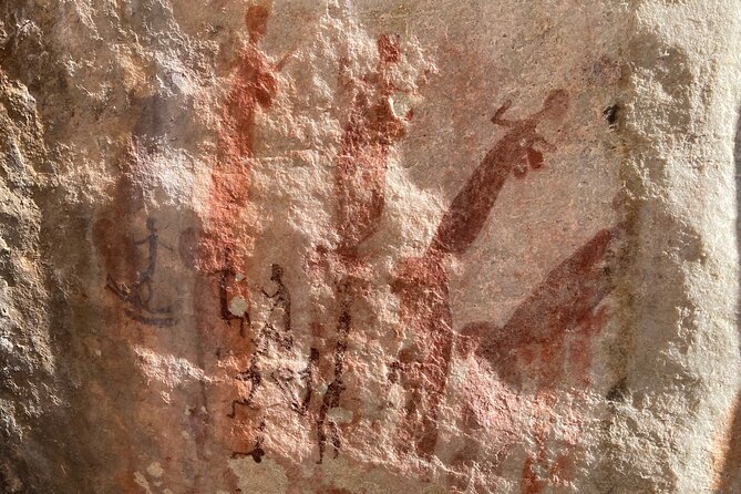 Explore ancient rock art on a private guided trip from Cape Town - Why the Cederberg makes a strong day trip from Cape Town