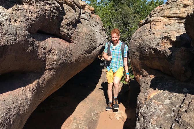 Explore ancient rock art on a private guided trip from Cape Town - Flora, fauna, and the Cape Floral Kingdom