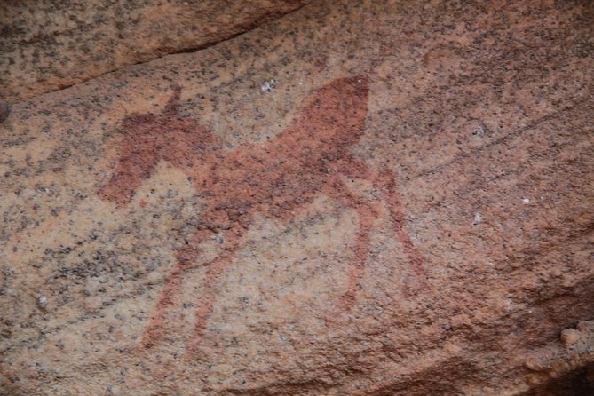 Explore ancient rock art on a private guided trip from Cape Town - Is the $457.32 price fair?