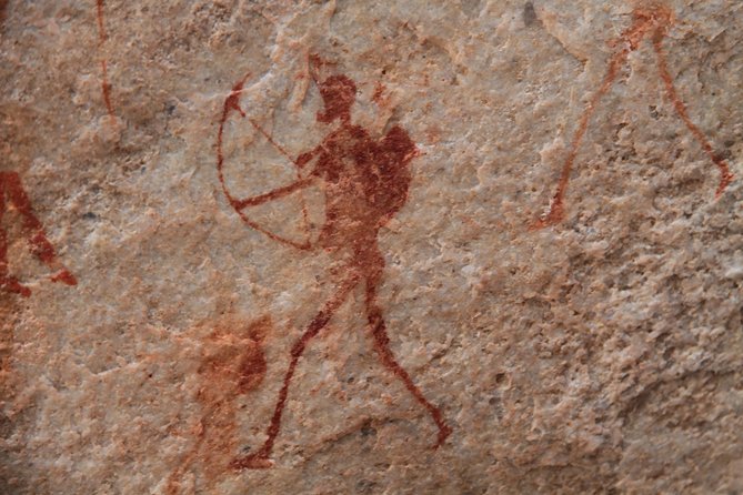 Explore ancient rock art on a private guided trip from Cape Town - The drive over mountain passes and through Clanwilliam