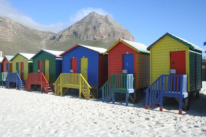 Explore Cape of Good Hope and Boulders Beach: Private Tour - Hout Bay, Seal Island, and the optional boat trip