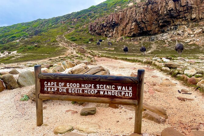 Explore Cape of Good Hope and Boulders Beach: Private Tour - Cape of Good Hope and Cape Point