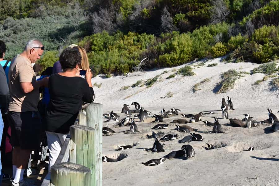 Explore: Cape of Good Hope and Penguins Full-Day Tour - Simon’s Town, Kalk Bay, and Muizenberg on the return