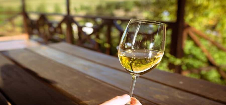 Explore Table Mountain, Kirstenbosch, & Constantia wineries. - Key things to know before booking