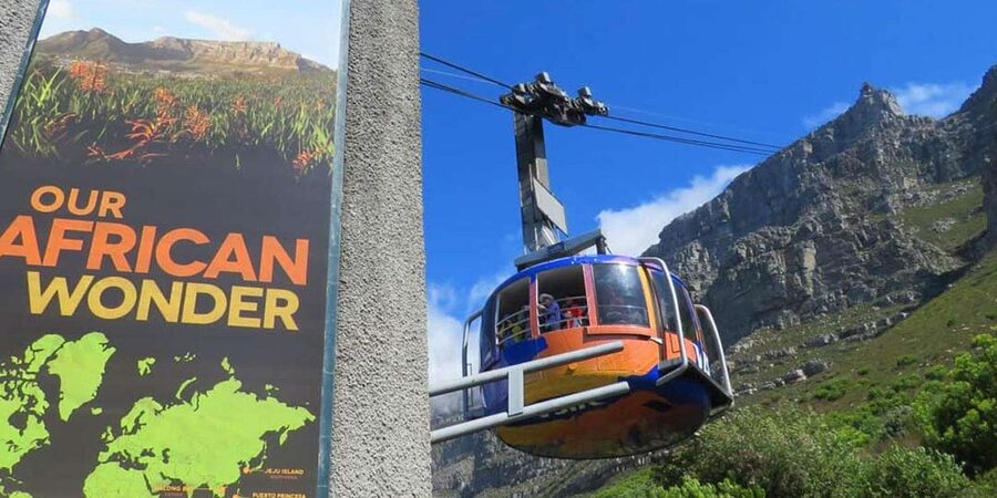 Explore Table Mountain, Kirstenbosch, & Constantia wineries. - Should you book it?