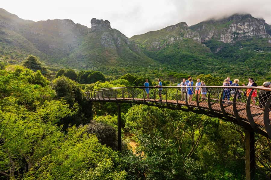Explore Table Mountain, Kirstenbosch, & Constantia wineries. - Spending the afternoon in Constantia