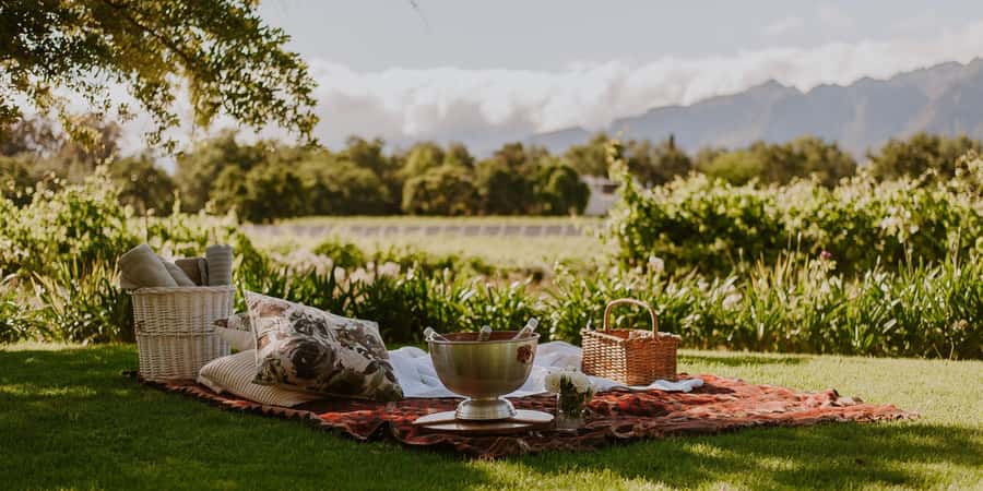 Explore Table Mountain, Kirstenbosch, & Constantia wineries. - Who will get the most from this private tour?