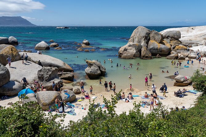 Explore the Cape Peninsula through a Queer Lens Private Tour - Cape Point and lunch above False Bay