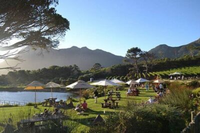 Explore the Cape Peninsula through a Queer Lens Private Tour