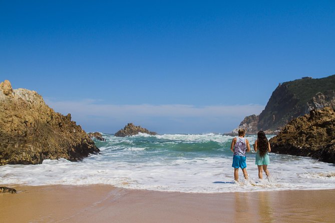 Explore the Garden Route from Cape Town - 4 Days - The guide and accommodation questions to ask