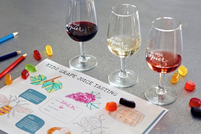 Family Friendly Wine Tour Cape Town - Five things to know before you book