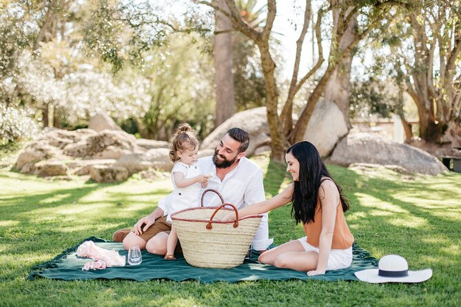 Family Friendly Wine Tour Cape Town - Franschhoek: a one-hour town break