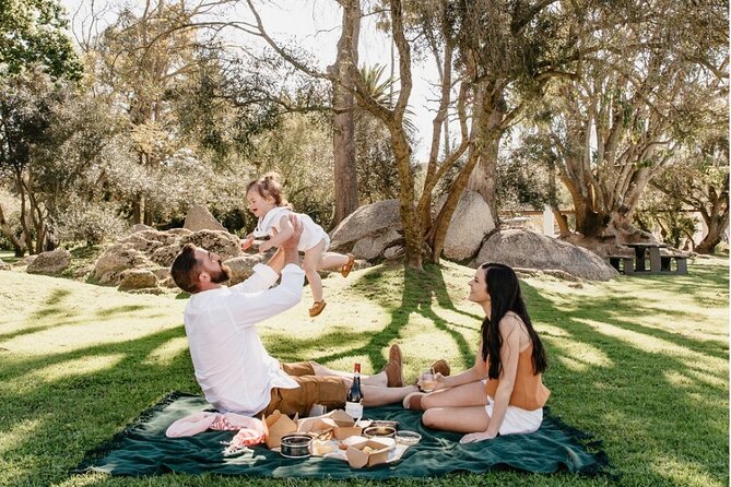 Family Friendly Wine Tour Cape Town - What the $375.94 price really covers