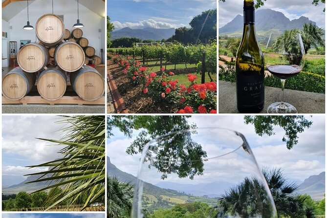 Family Winelands & Wildlife: Stellenbosch and Paarl - Timing, comfort, and small practical details