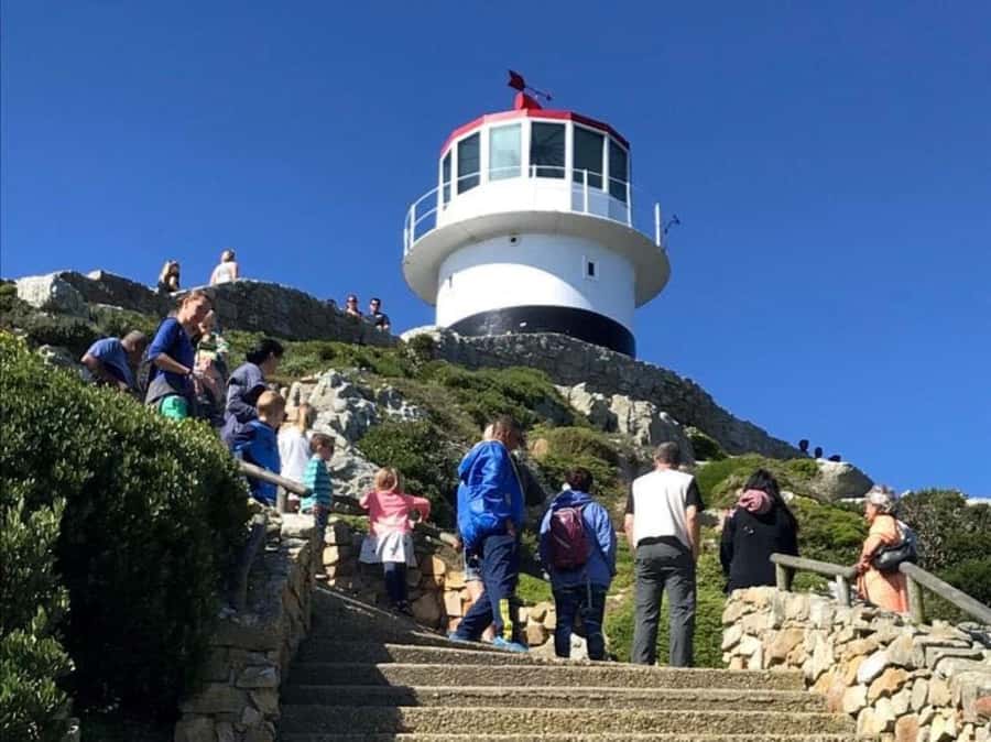 Fascinating Cape Peninsula Experience (private & exclusiv) - Why a private Cape Peninsula day matters