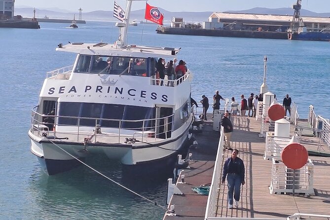 Ferry Tour to Robben Island Museum with One Way Hotel Transfer - Walking between the bus and the sites
