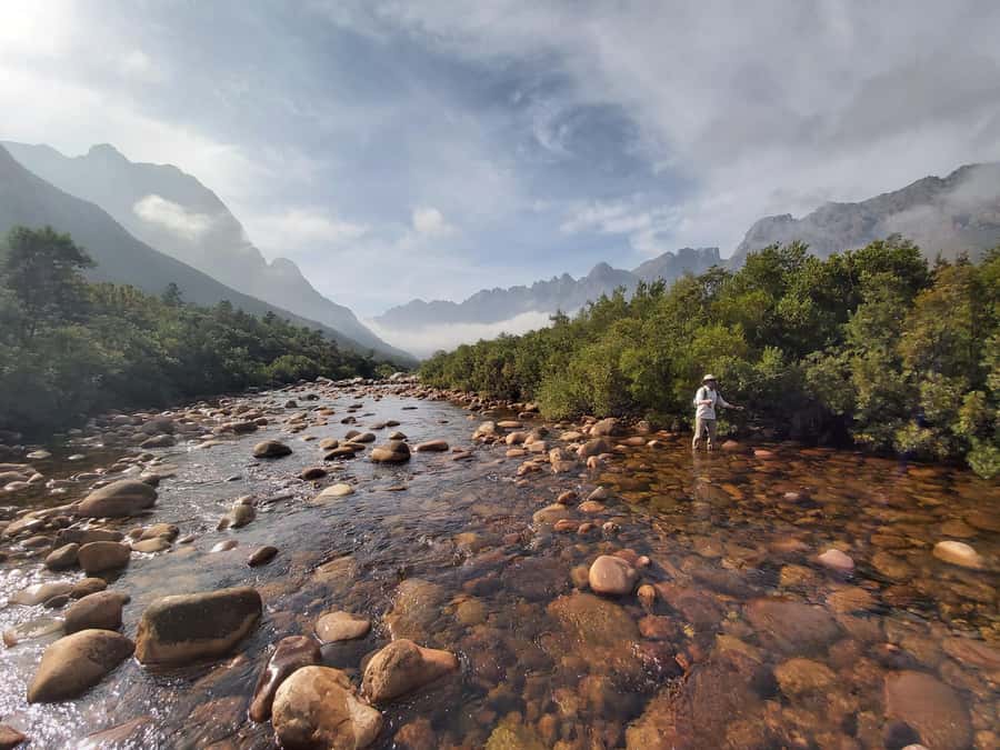 Fly Fishing in Cape Town - Why this Cape Town fishing trip feels different
