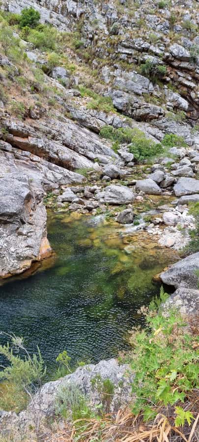 Fly Fishing in Cape Town - Catch, photograph, and release