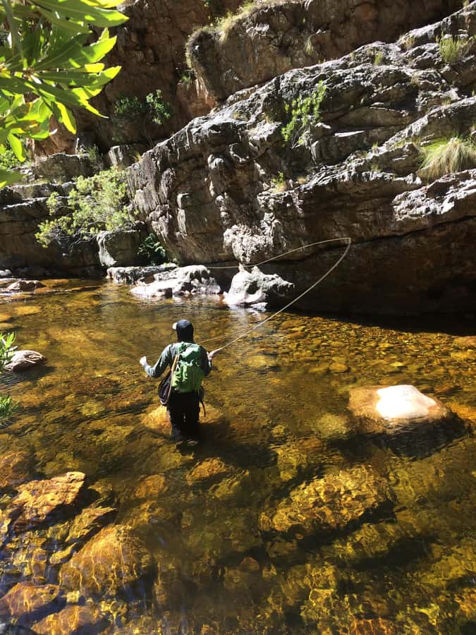 Fly Fishing in Cape Town - What to wear and what to bring