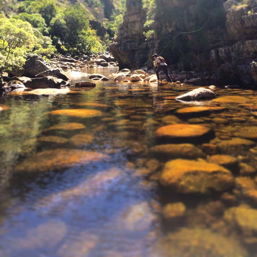 Fly Fishing in Cape Town - Who should think twice before booking