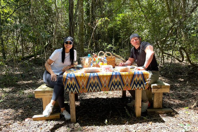 Forest Walk with Picnic and Wildife Tour - How the two-hour walk compares with the animal visit