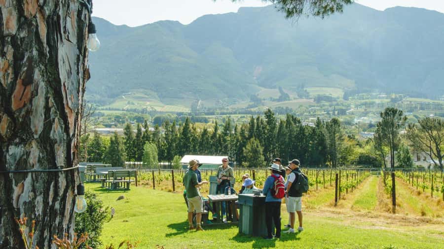 Franschhoek: An enchanting storytelling walk to 3 wine farms - Five things to know before you book