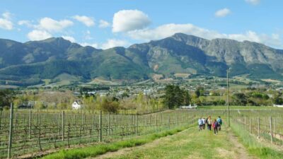 An enchanting storytelling walk to 3 wine farms