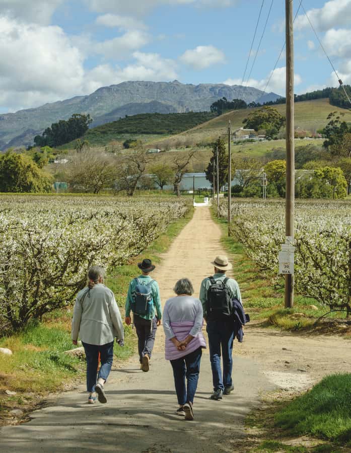 Franschhoek: An enchanting storytelling walk to 3 wine farms - Mullineux & Leeu and the second round