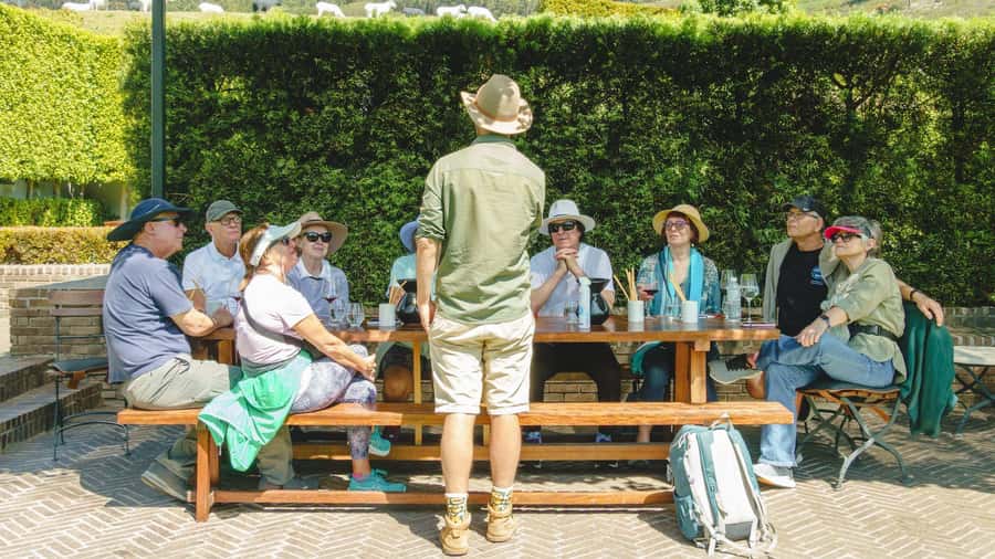 Franschhoek: An enchanting storytelling walk to 3 wine farms - Is $171 a fair price?