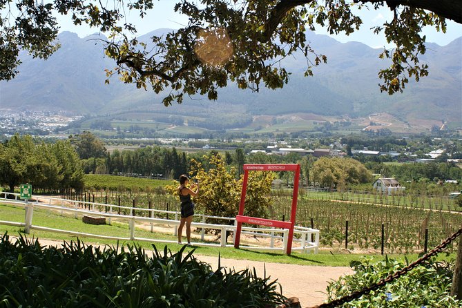 Franschhoek Cycle Experience Half Day - Private Tour - Mont Rochelle for wine, views, and lunch