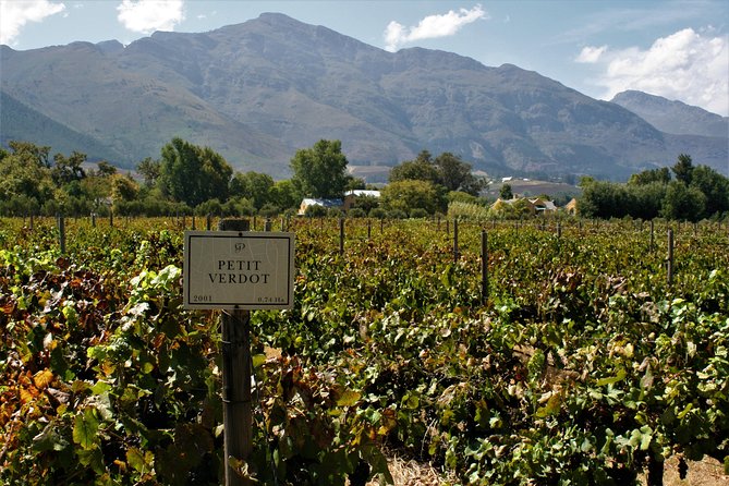Franschhoek Cycle Experience Half Day - Private Tour - What the guides add to the morning