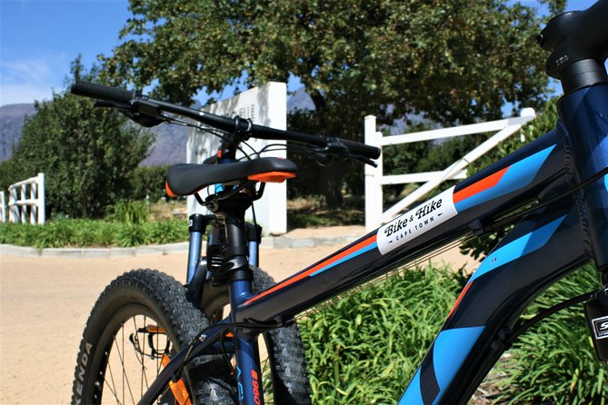 Franschhoek Cycle & Tasting Experience 4hr (Shared) - A small group with room to adapt