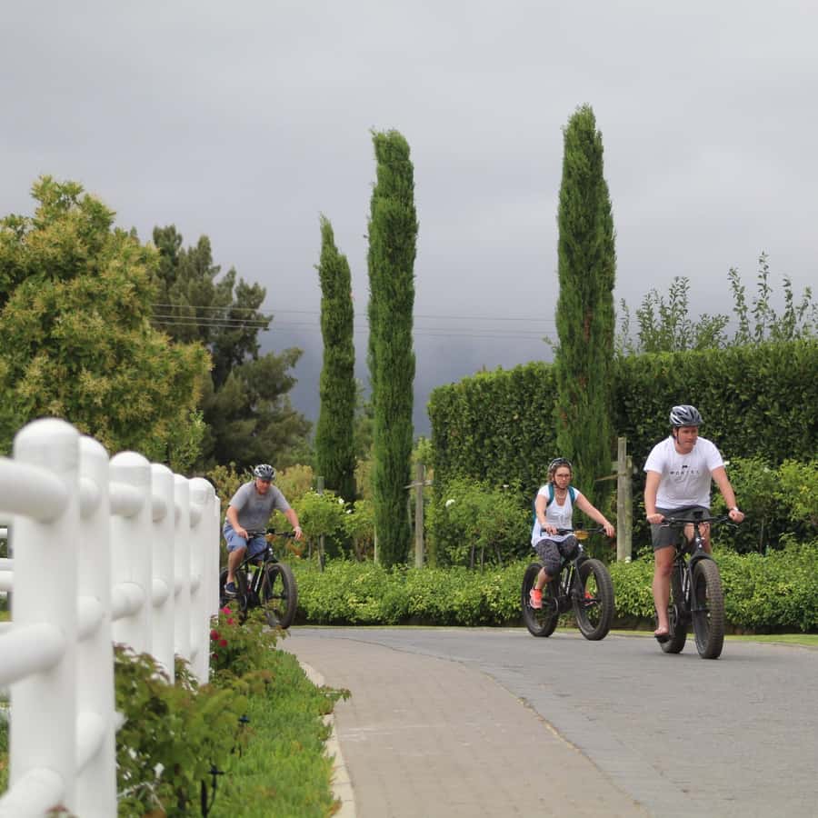 Franschhoek: E-Bike Guided Winery Tour - The first ride through the village and vineyards