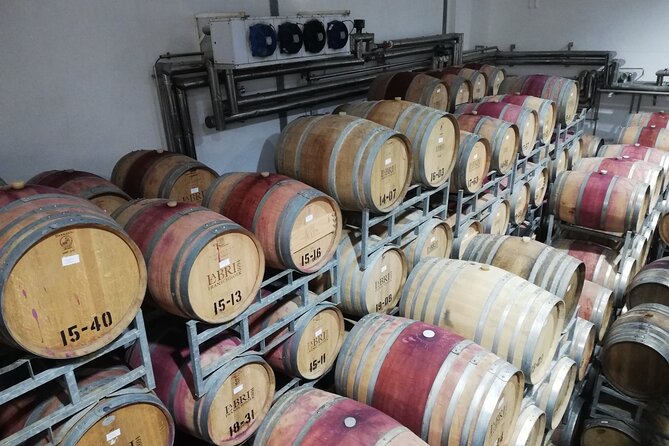 Franschhoek E-bike Ride & Wine w.Lunch - Grand Provence starts the day with art and gardens