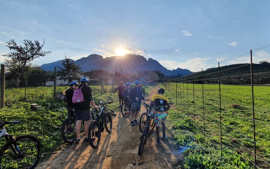 Franschhoek: E-bike Tour with Wine Tasting and Lunch - What the $202 price includes
