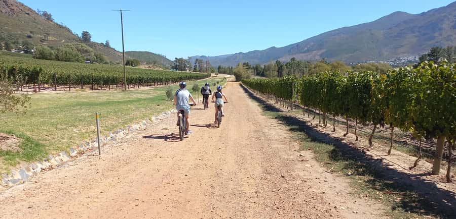 Franschhoek E-Bike & Wine Tour - Key things to know before you book