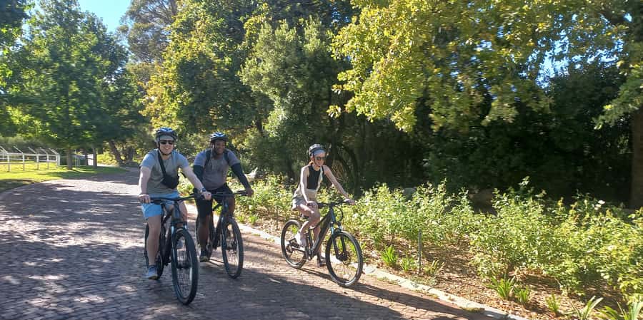 Franschhoek E-Bike & Wine Tour - Starting at Old Road Wine Co. in Franschhoek