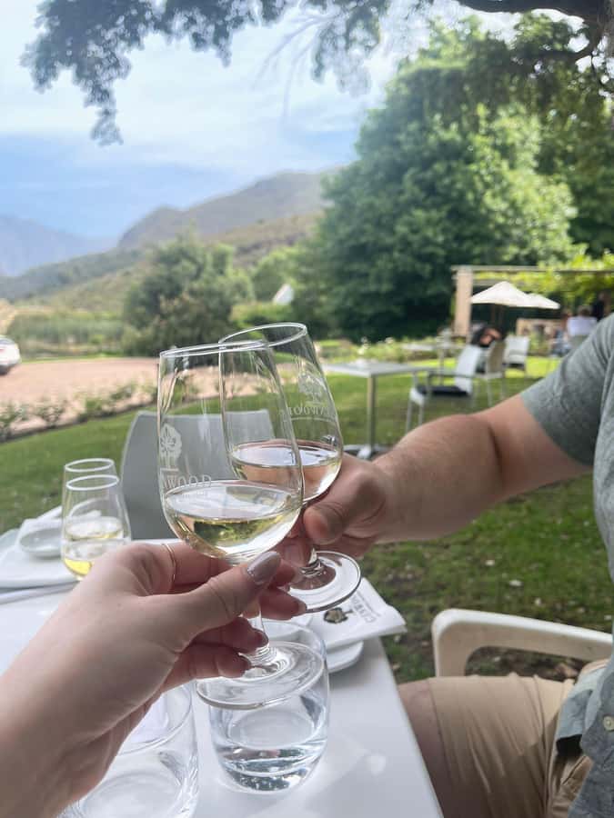 Franschhoek E-Bike & Wine Tour - Wildeberg Wines and the first cellar visit