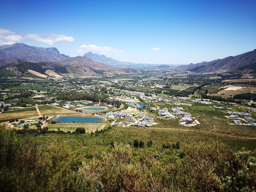Franschhoek E-Bike & Wine Tour - Stony Brook Vineyards, boutique wines, and broad views