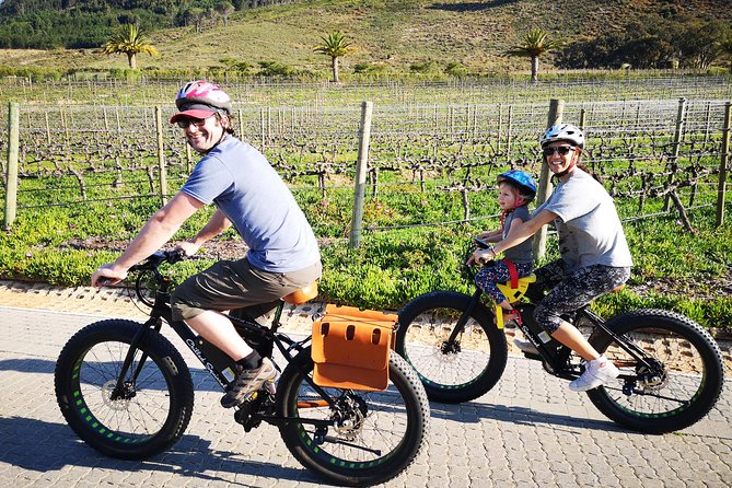 Franschhoek E-Bike Wine Tour (Half Day) - Key points to know before booking