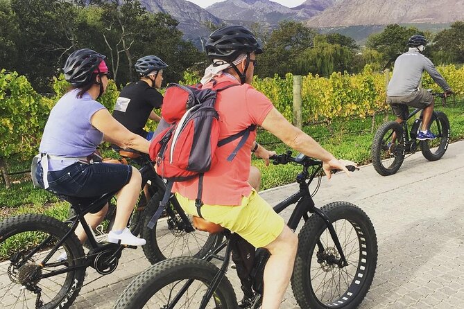 Franschhoek E-Bike Wine Tour (Half Day) - The wine estates: two or three different stops