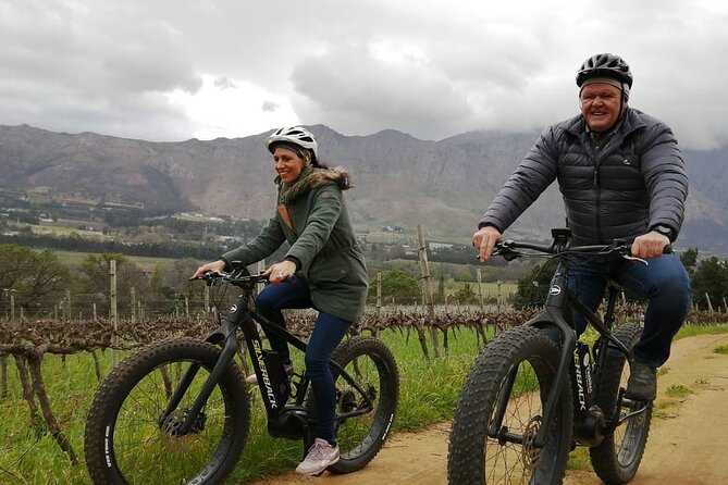 Franschhoek E-Bike Wine Tour (Half Day) - Price, extra costs, and what you receive