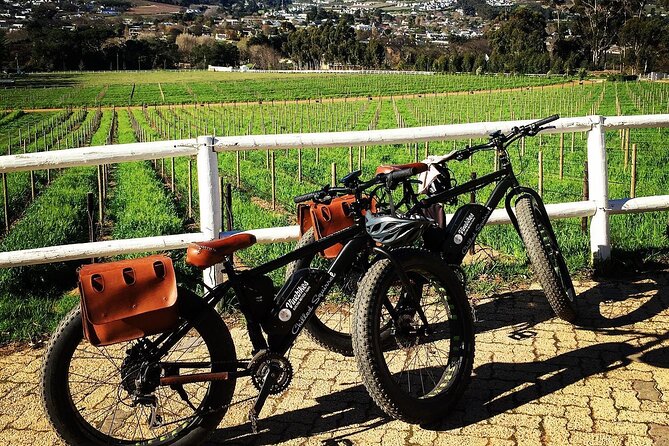 Franschhoek E-Bike Wine Tour (Half Day) - Who will enjoy this Franschhoek tour most?
