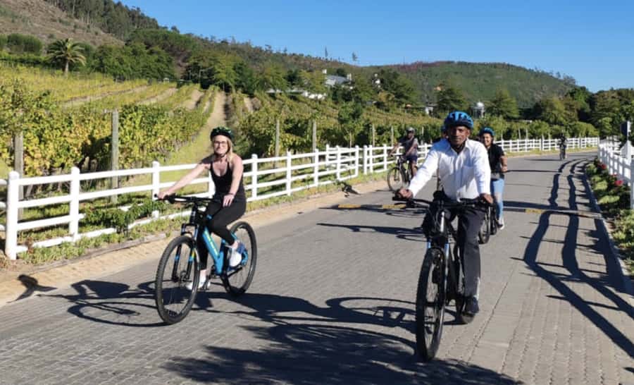 Franschhoek: E-Bike & Wine Tour (Shared Tour) - Key points to know before you book